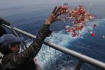 En efterladt smider blomster i havet, der hvor et Lion Air-passagerfly styrtede ned ved Indonesien sidste år.  Foto: Tatan Syuflana/AP