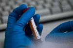 Rusland fik over tre måneder til at udlevere data og prøver fra laboratoriet i Moskva, men ville til syvende og sidst ikke udlevere noget.  Foto: Alexander Zemlianichenko/AP