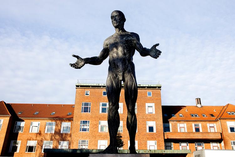 Christian Lemmerz lægger ikke fingrene imellem med sin skulptur, der konfronterer os med vores skrøbelige kroppe og håbet om helbredelse foran Bispebjerg Hospital.  
   Foto: Finn Frandsen/POLFOTO