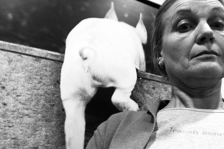 Foto: Lise Rønnebæk