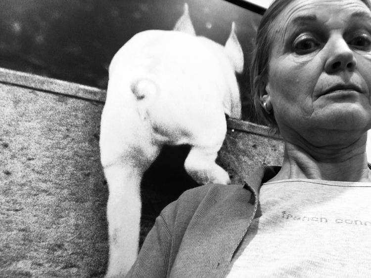 Foto: Lise Rønnebæk