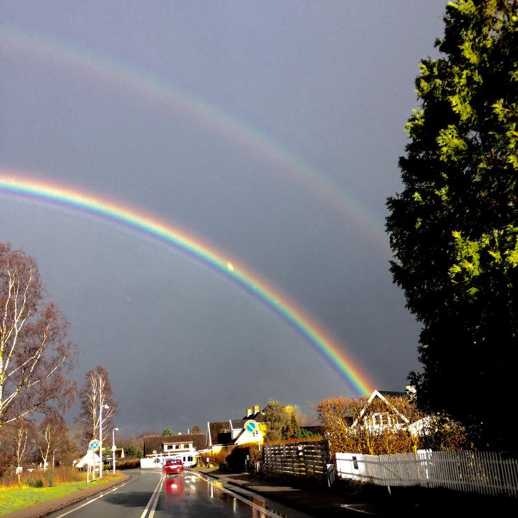 Efter et voldsom tordenvejr  i Dronningmølle.  Foto: Nils Wangel