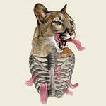 Pia Busk, en selverklæret 'Cougar'  (en ældre kvinde, der kan lide unge mænd), har Ovids 'Elskovskunsten' som forbillede.  