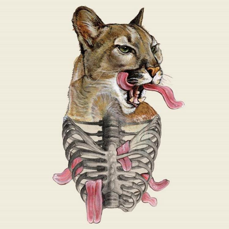 Pia Busk, en selverklæret 'Cougar'  (en ældre kvinde, der kan lide unge mænd), har Ovids 'Elskovskunsten' som forbillede.  