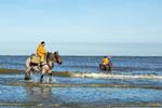 I de sidste 500 år har man fisket rejer fra hesteryg i Flandern. Fra stranden i den lille by Oostduinkerke kan man mellem j og september se fiskerne i aktion. Foto: Marie Lagoni