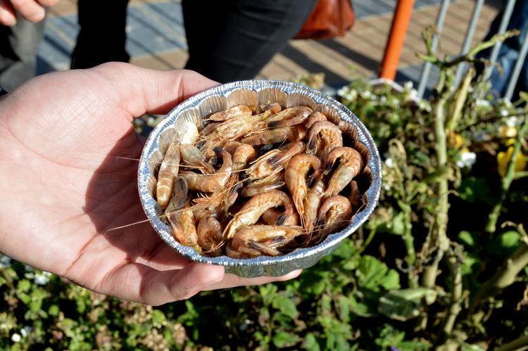 De små rejer skifter farve fra grå til brunligt lyserøde, når de bliver kogt. På restauranter i Flanderne fås de mange steder som pil-selv rejer eller i rejekroketter.  Foto: Marie Lagoni