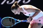 Karolina Pliskova har nu mødt Serena Williams fire gange, og de to spilleres indbyrdes statistik siger 2-2.
   Foto: Jewel Samad/Ritzau Scanpix