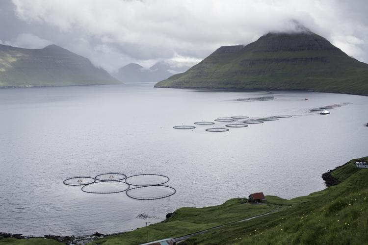 Foto: Mathias Svold/POLFOTO