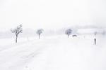 
    Der falder op til 25 centimeters sne i weekenden. Foto: Finn Frandsen/POLFOTO