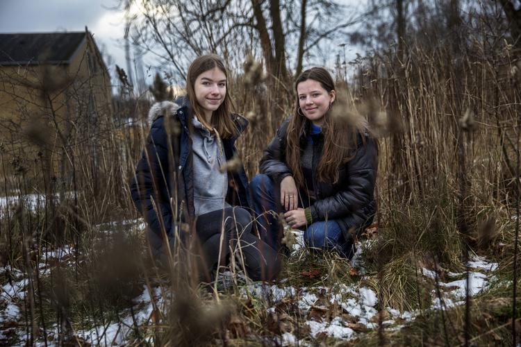Findestedet. De to bakteriejægere Frederikke Løje Rentsch og Agnes Rahr Westergaard (th) sidder lige der, hvor de fandt mælkebøtten, der viste sig at have en ny art mælkesyrebakterie på sin rod. Med det unikke fund har de og deres klassekammerater nu mulighed for at navngive bakterien.
   Foto: Jacob Ehrbahn/POLFOTO