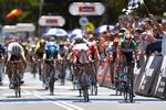 Elia Viviani (t.h.) afviser Caleb Ewan i spurten og vinder Cadel Evans Great Ocean Road Race efter imponerende forarbejde af Michael Mørkøv, der skimtes som nr. 3 fra højre. Foto: Cadel Evans Great Ocean Road Race 