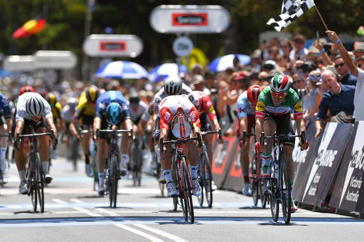 Elia Viviani (t.h.) afviser Caleb Ewan i spurten og vinder Cadel Evans Great Ocean Road Race efter imponerende forarbejde af Michael Mørkøv, der skimtes som nr. 3 fra højre. Foto: Cadel Evans Great Ocean Road Race 
