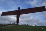 Antony Gormleys kæmpeskulptur, 'Angel of the North', menes at blive set af 33 millioner mennesker om året.  Foto: Kim Wiesener