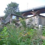 På Ouseburn Farm kan man finde en grøn oase midt i storbyen.  Foto: Kim Wiesener