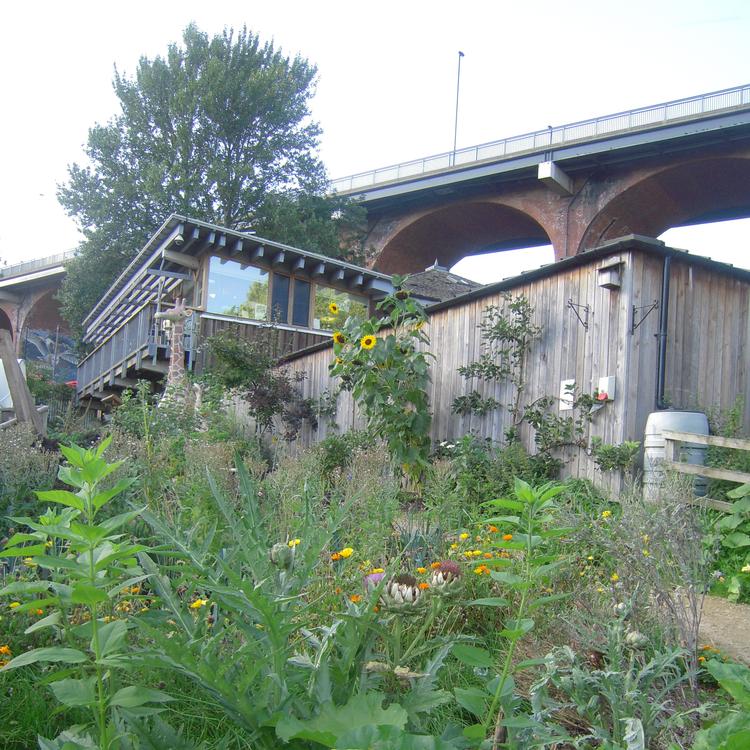 På Ouseburn Farm kan man finde en grøn oase midt i storbyen.  Foto: Kim Wiesener
