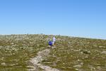 Vandreturen op til Digervålen i 1.082 meters højde er for alle og på kun 5,4 kilometer. Til gengæld er udsigten fra toppen ikke hverdagskost, når du kan se  til Funäsdalsfjällen i (i klart vejr) og endda helt ovet til nordmændene ude vestpå. Foto: Sune Højrup Bencke