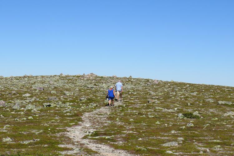 Vandreturen op til Digervålen i 1.082 meters højde er for alle og på kun 5,4 kilometer. Til gengæld er udsigten fra toppen ikke hverdagskost, når du kan se  til Funäsdalsfjällen i (i klart vejr) og endda helt ovet til nordmændene ude vestpå. Foto: Sune Højrup Bencke