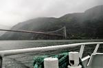 Hængebroen over fjorden er et pænt stykke over en kilometer lang og hægter kysterne sammen, så man kan skyde genvej over fjorden.  Foto: Susser Feit
