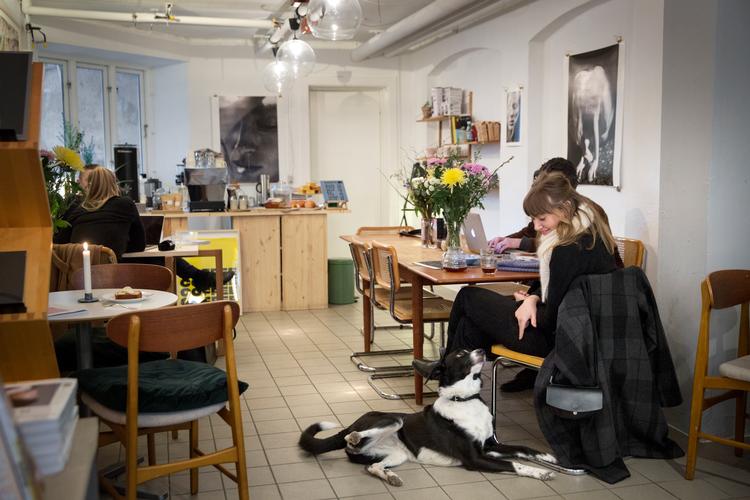 
Uanset om man bestiller en flat white, en grillet sandwich eller bananbrød, kan godterne indtages med bøger og magasiner som avec. 
   Foto: Louise Serup/POLFOTO