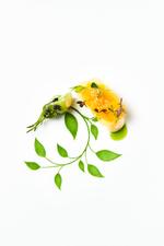 Foto: Claus Bech-Poulsen 