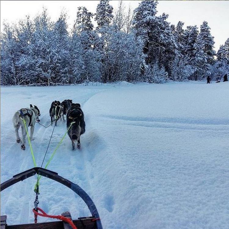 Sneslædetur i Alta, Finnmarks største by Foto: @talesfromabroad