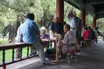 En gruppe ældre mænd spiller spil i en kinesisk park. Foto: Magdalena Gonzalez