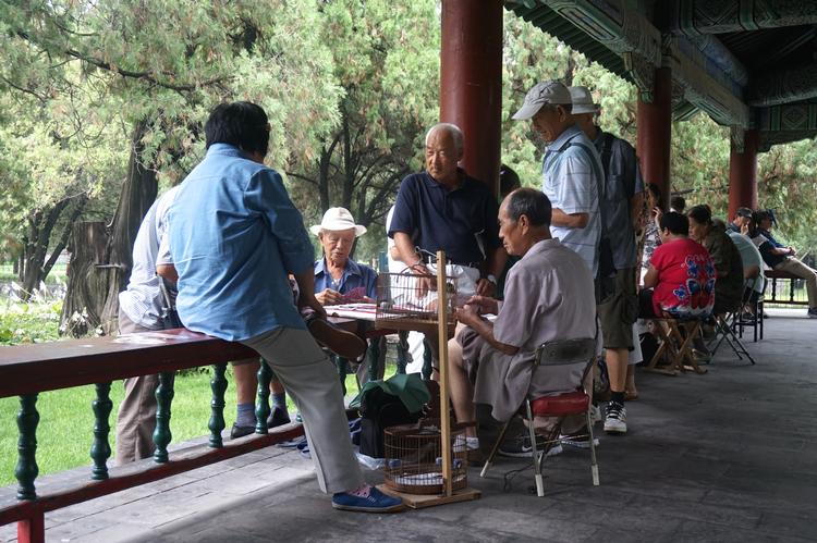 En gruppe ældre mænd spiller spil i en kinesisk park. Foto: Magdalena Gonzalez