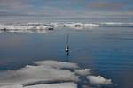 En bøje er sat ud i Det Nordlige Ishav for at måle vandtemperaturer. Bøjen er en del af det globale Argo-projekt, hvor tæt ved 4.000 bøjer verden over har givet ny viden om verdenshavene. Foto: Argo/University of California San Diego/realnature.tv GbR