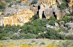 Cederberg ligger ikke på de fleste turisters sydafrikanske ruter. Sydafrikanerne selv værdsætter den unikke natur og de vældige vidder – og måske også netop det forhold, at når der er så relativt få turister, får man oplevelsen af at have tingene mere for sig selv. Foto: Jens Henrik Nybo