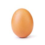 Det første billede af det berømte æg dukkede op på Instagram d. 4. januar. Nu klækker ægget for at vise, hvad pres fra de sociale medier kan gøre. 
Foto: world_record_egg/Instagram 