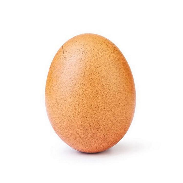 Det første billede af det berømte æg dukkede op på Instagram d. 4. januar. Nu klækker ægget for at vise, hvad pres fra de sociale medier kan gøre. 
Foto: world_record_egg/Instagram 