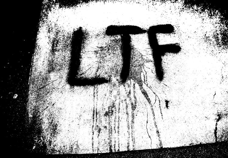 Foto: Jonas Olufson/OLUFSON JONAS