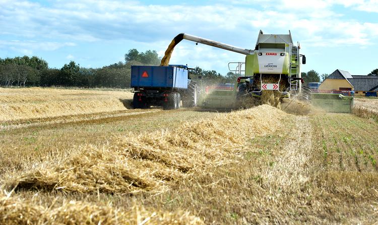 Hverken naturen eller landbruget har brug for at vente på, at der bliver afholdt folketingsvalg. Uanset hvem der får magten, håber vi, at de fælles løsninger, vi her lægger frem, vil blive overvejet seriøst, skriver Landbrug & Fødevarer og Danmarks Naturfredningsforening i dette indlæg. Foto: Henning Bagger/Ritzau Scanpix