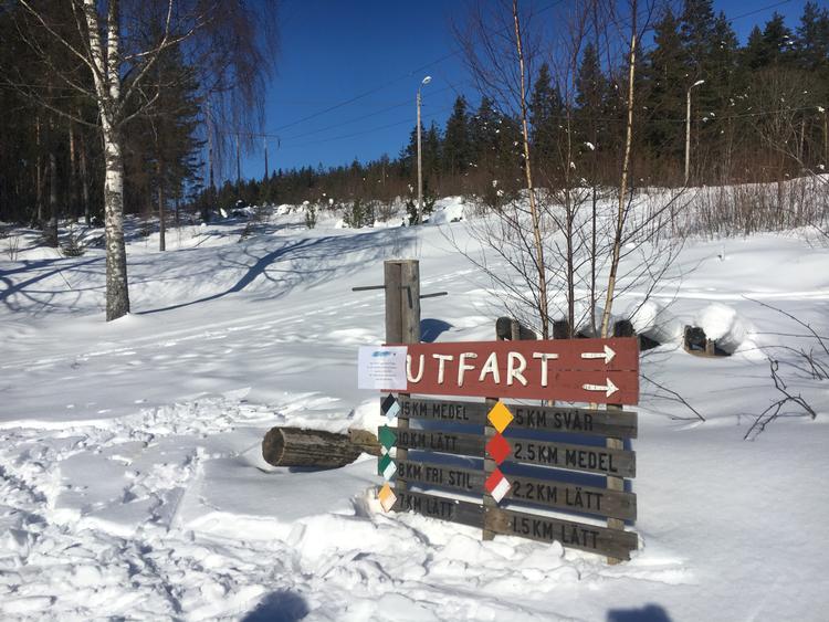Værsgo at køre ud i det hvide ved Bergebo i Dalarna. Foto: Poul Erik Holm