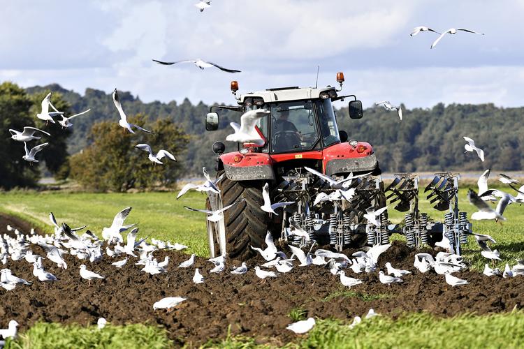 Ifølge landbrugspakken, som fjernede en stor mængde regulering, der skulle beskytte naturen, skulle landbruget af frivillighedens vej selv reducere udledningen af kvælstof med 1451 tons årligt frem til og med 2018 og med 2907 tons frem til og med 2021.
    
   Foto: Ernst van Norde/Ernst Van Norde