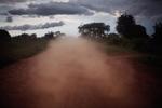 Rødt støv fra Afrika er med blæsten blevet ført til Danmark, hvor det i nat kan regne ned og lægge sig som et fint lag rødt støv i morgen.  Foto: Jan Grarup/POLFOTO