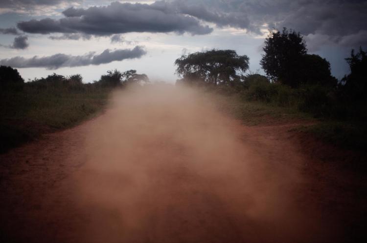 Rødt støv fra Afrika er med blæsten blevet ført til Danmark, hvor det i nat kan regne ned og lægge sig som et fint lag rødt støv i morgen.  Foto: Jan Grarup/POLFOTO