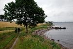 Foto: Morten Langkilde/POLFOTO