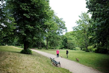 København skal passe på sine grønne oaser stille områder, mener John Steen Johansen Foto: Jens Dresling/POLFOTO
