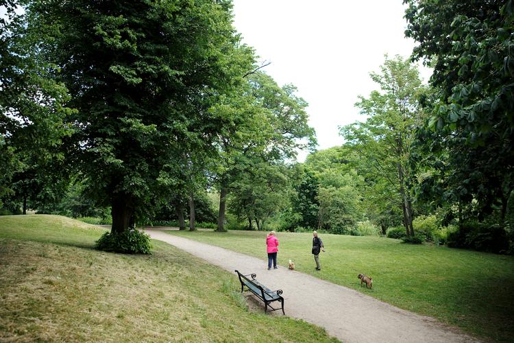 København skal passe på sine grønne oaser stille områder, mener John Steen Johansen Foto: Jens Dresling/POLFOTO