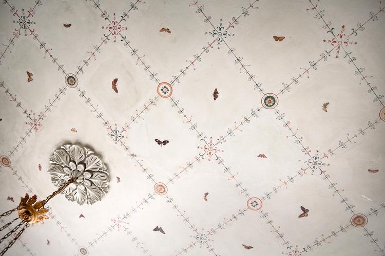 Foto: Louise Herrche Serup/POLFOTO