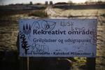 Københavns Kommune kan plante træer på områder, der er udlagt til parker i stedet for at betale tysk organisation for klimakompensation, mener Jakob Næsager. Foto: Martin Lehmann/POLFOTO