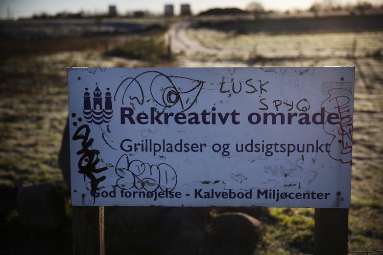 Københavns Kommune kan plante træer på områder, der er udlagt til parker i stedet for at betale tysk organisation for klimakompensation, mener Jakob Næsager. Foto: Martin Lehmann/POLFOTO