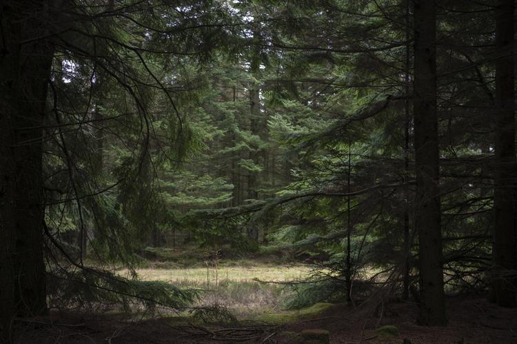 Foto: Stine Rasmussen