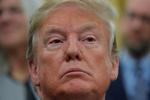 
    USA's præsident, Donald Trump, har gentagne gange sagt, at der ikke har været noget samarbejde mellem hans valgkampagne og Rusland op til præsidentvalget i 2016. Foto: Jim Young/Ritzau Scanpix