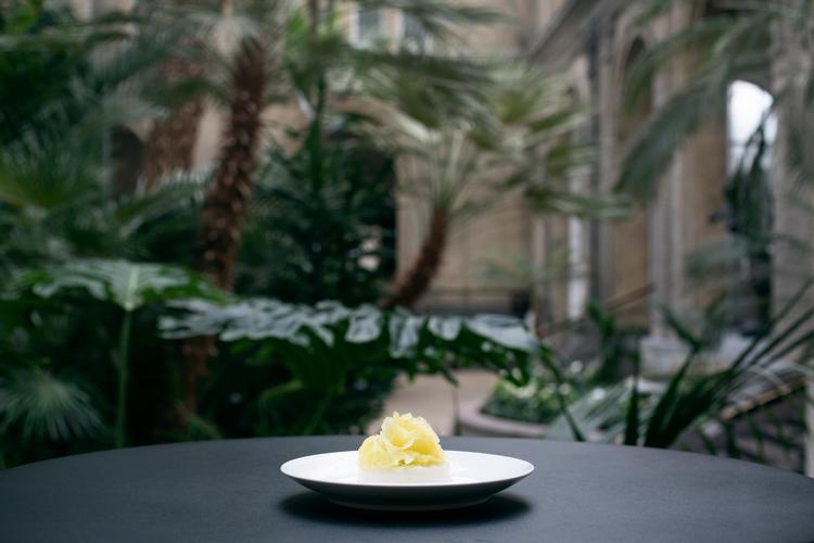 Erfarne kokke står bag den nye cafe Picnic på Glyptoteket i København.
   Foto: Jens Hartmann Schmidt/POLFOTO