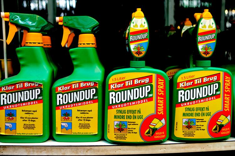 Roundup til salg i Amagerlands Have- og Plantecenter. Plantegiften bruges 
   Foto: Thomas Borberg/POLFOTO