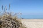 Det er ikke sommerdag ved Vesterhavet, men klitterne ud til Lake Michigan i Indiana Dunes National Park. Foto: Indiana Dunes National Park