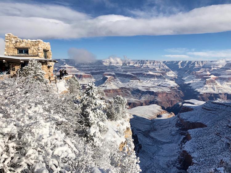 En voldsom omgang kulde har lagt sne på kaktusserne i den sydlige del af Grand Canyon. Januar 2019. Foto: Anna Johnson/Ritzau Scanpix