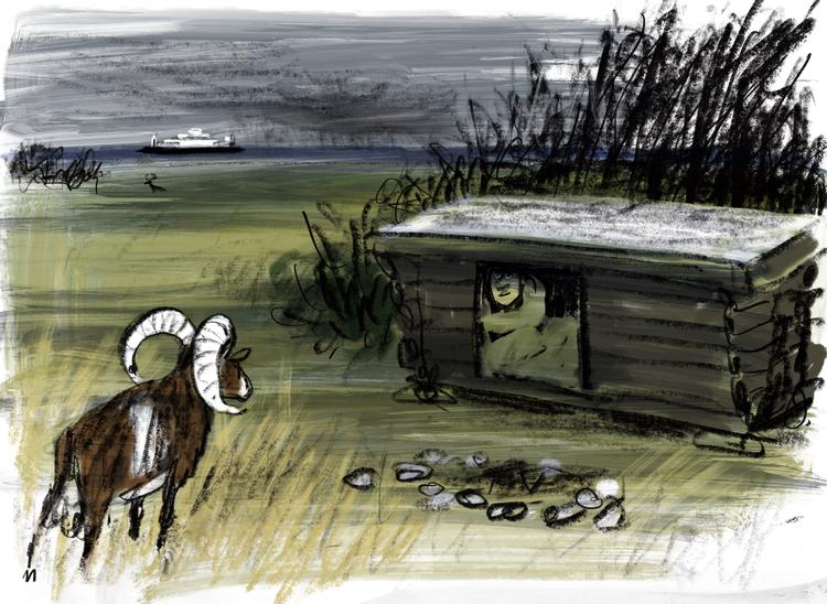 Foto: Mette Dreyer/POLITIKEN